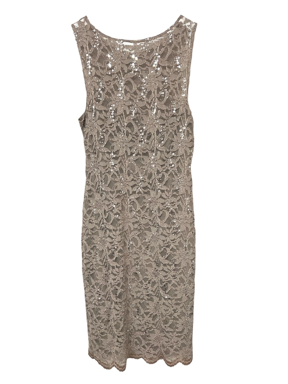 Tiana B.Lace Sequin Sleeveless Sheath Dress
Color Taupe, Size 6P